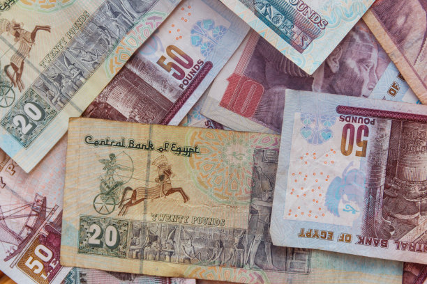 不同面额的埃及镑背景图片下载