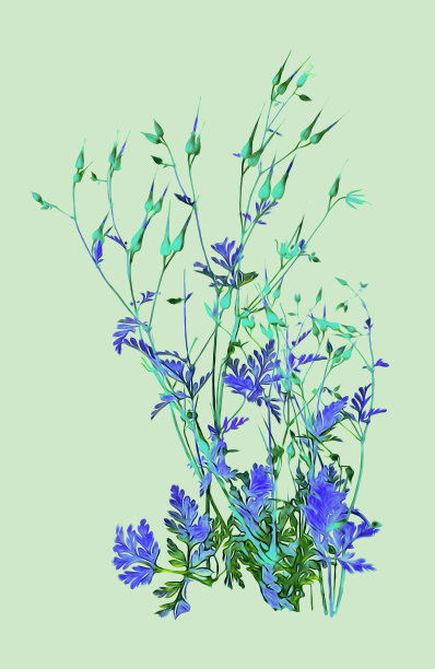 花卉插图。图片下载