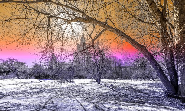 充满活力的彩虹广角的熔融雪和树影在春天阳光明媚的莫斯科大学校园白天公园图片下载