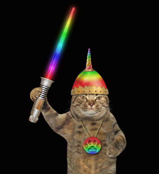 戴着头盔的猫和一把光剑图片下载