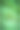 绿草背景的特写图片下载