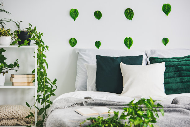 在优雅的卧室内部白色墙壁上绿叶的特写，大床上有绿色和白色的床上用品图片下载