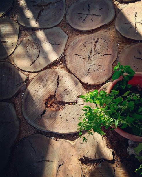 独自散步图片下载