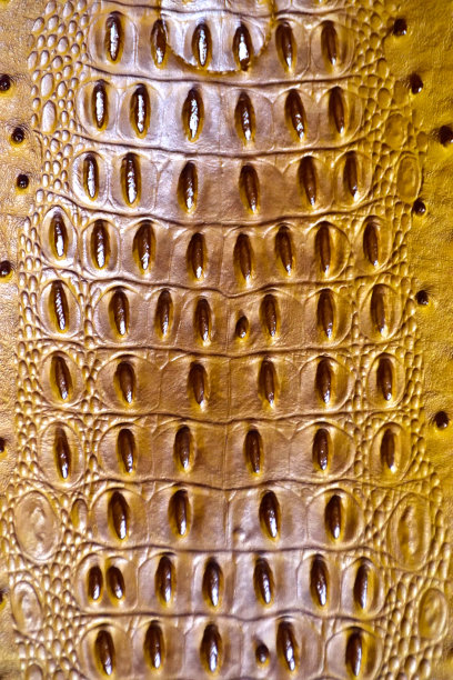 黄金仿鸵鸟皮近景抽象图片下载