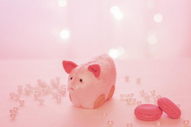 手工制作的粉色小猪，以圣诞彩灯和珍珠马卡龙为背景图片下载