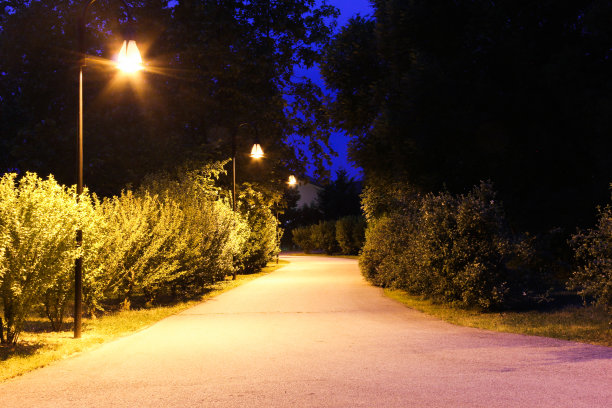 公园里灯火通明的小路图片下载