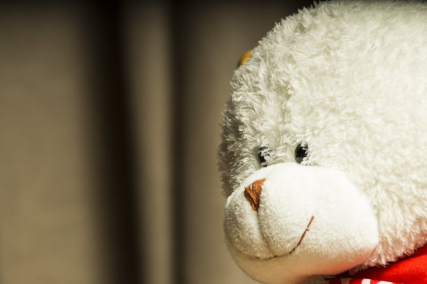 近距离看白色的泰迪熊图片下载