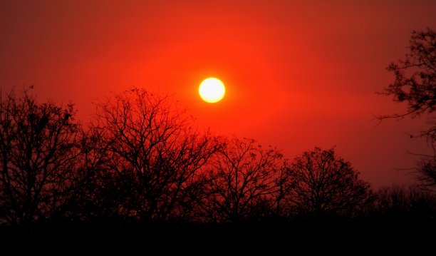 血红色的非洲的太阳图片下载