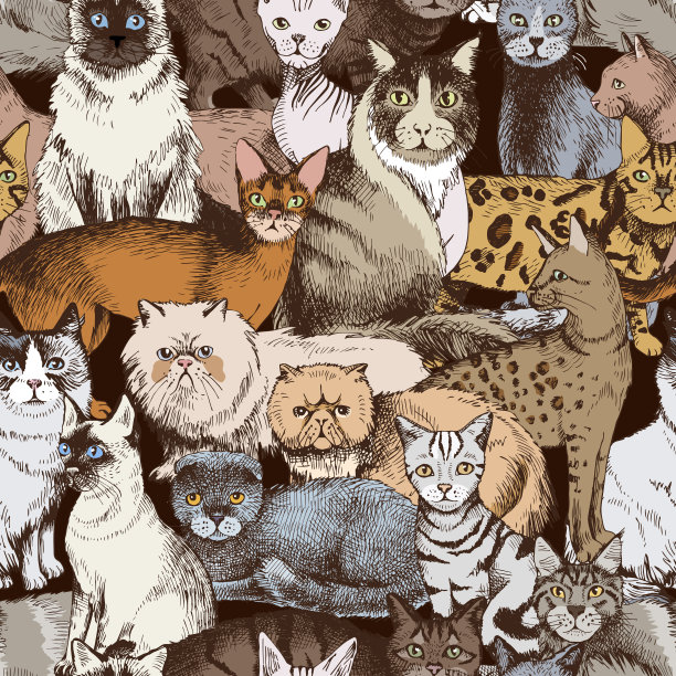 无缝模式与16手画纯种猫图片下载