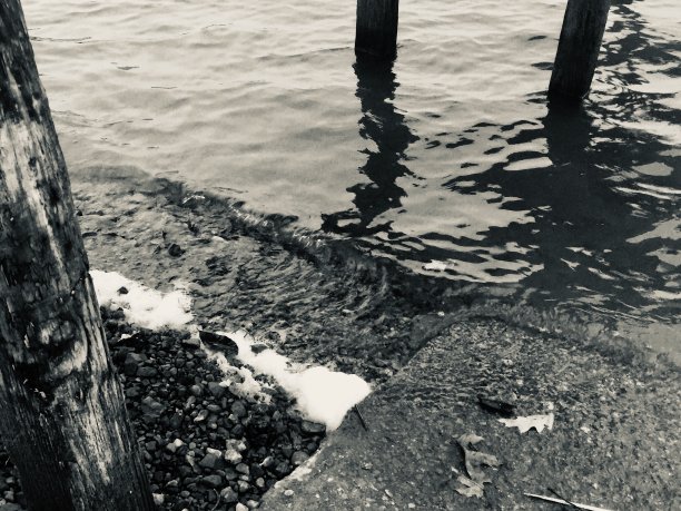 在码头图片下载