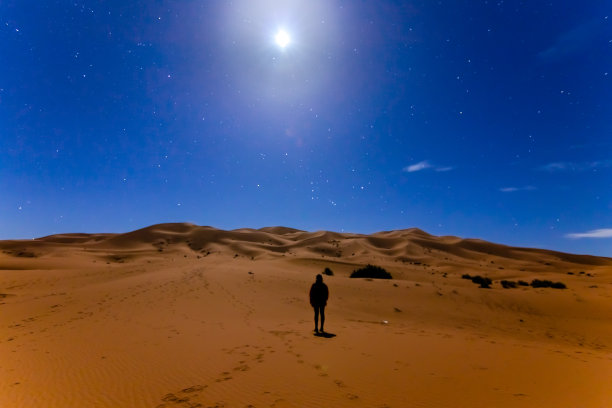 在沙漠里看月亮的人图片下载