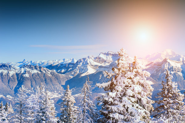 日落时分，冬天山上白雪覆盖的树木。图片下载