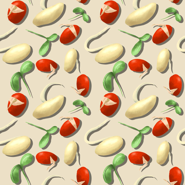 菜豆和豆芽的蔬菜无缝模式，在素食和健康食谱中的应用。图片下载