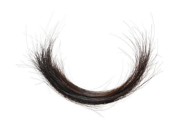 一缕黑发图片下载