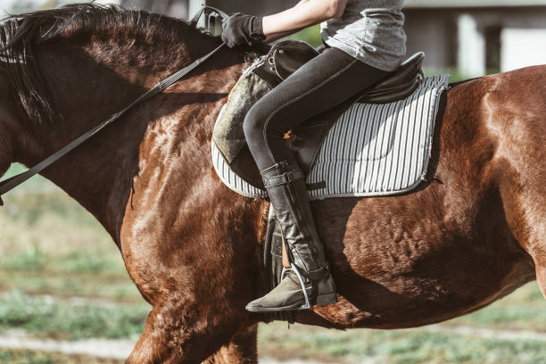 穿着马靴和马裤的女人图片下载