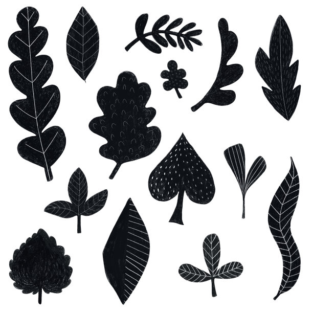 带有铅笔纹理的叶子剪贴画图片下载