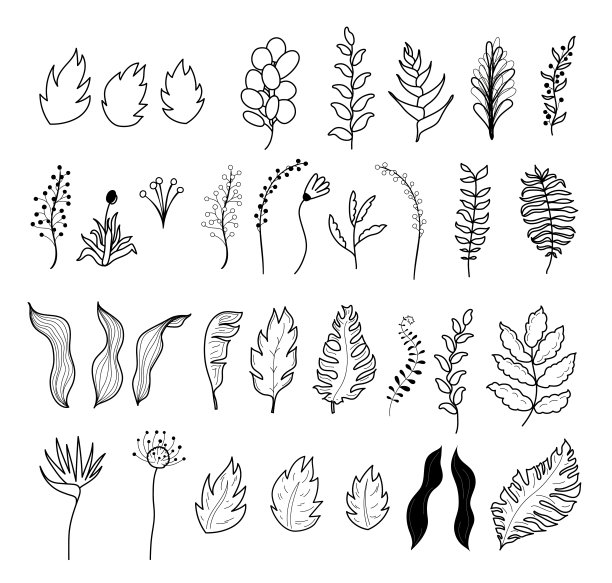 矢量热带花和叶图片下载