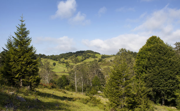 观树、观山，创造美丽的自然风光。图片拍摄于土耳其东北部黑海地区的特拉布宗/里兹地区。图片下载