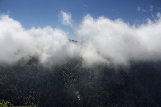 观山、观林、观雾，创造出美丽的自然景观。图片拍摄于土耳其东北部黑海地区的特拉布宗/里兹地区。图片下载