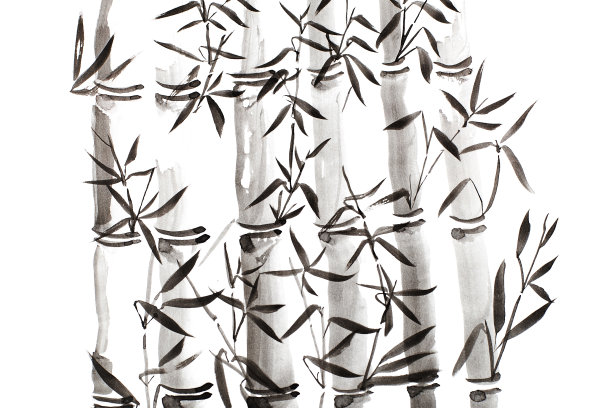 手绘竹叶枝集，水墨画。传统干式书法毛笔画。(在白色背景上孤立)图片下载