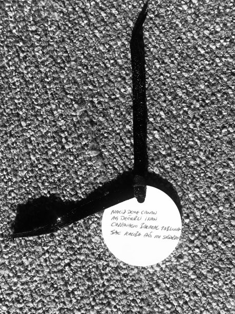 新年的愿望图片下载