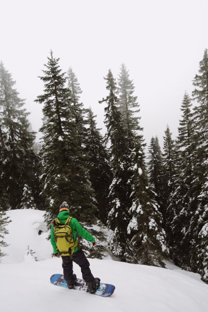 年轻的滑雪者在云杉之间滑雪图片下载