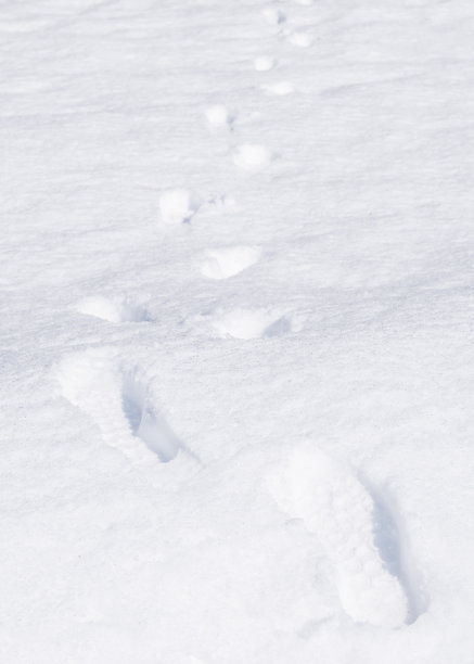 雪白色的纹理冬季背景的新鲜寒冷的冰与足迹步行者徒步在雪上的冰滑雪表面图案的寒冷雪花在冰冻天气气候季节图片下载