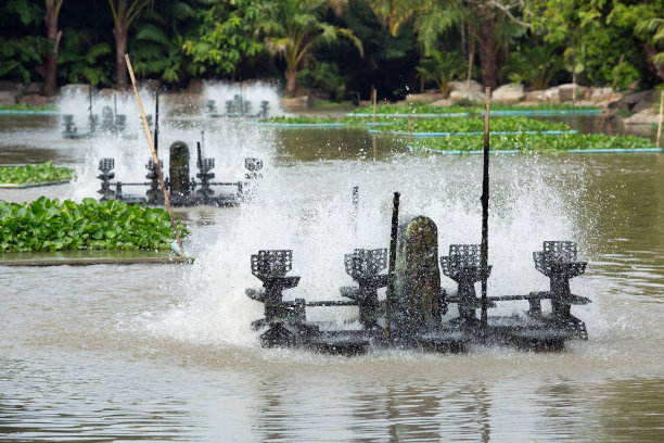 用水轮机来增加水中的氧含量。图片下载