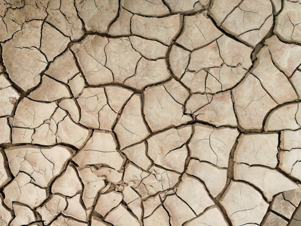 干土为背景图片下载