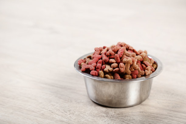 在家里的木地板上用碗把宠物食品烘干图片下载