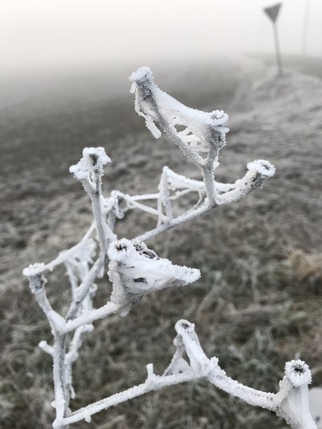 冬天走了图片下载