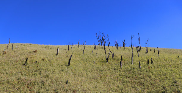 天空和土地图片下载