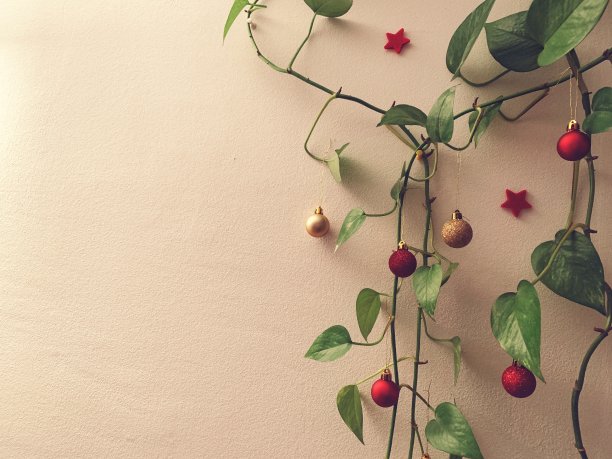 圣诞装饰品图片下载