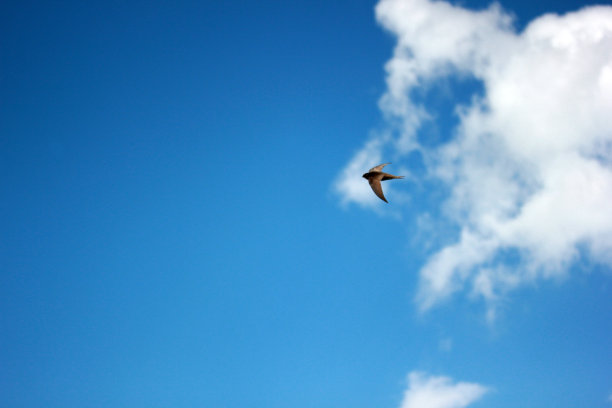 马丁之家（德利洪乌尔比卡）图片下载