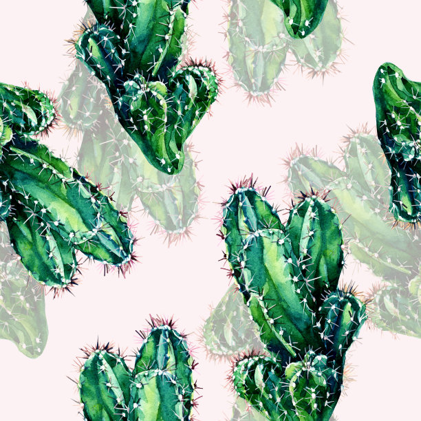 无缝图案的仙人掌画在水彩。图片下载