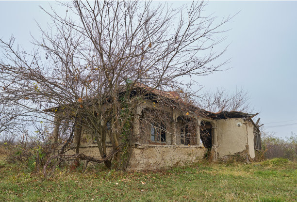 草地上的废弃房子图片下载