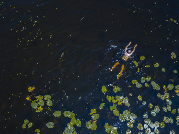 鸟瞰图的人游泳在一个湖在夏天，罗斯康芒，爱尔兰。图片下载
