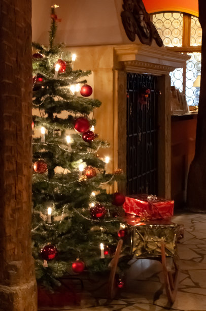 壁炉旁的圣诞树图片下载