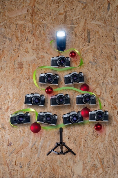 圣诞树形状的旧相机图片下载