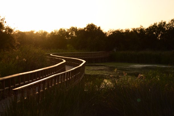 塔布拉特·德·戴米尔图片下载