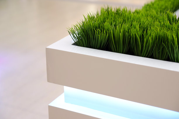 花瓶里装着新鲜的绿色植物。在购物中心的背景上装饰绿色植物。图片下载