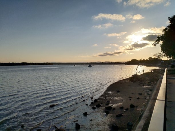 澳大利亚松树河的海岸线图片下载