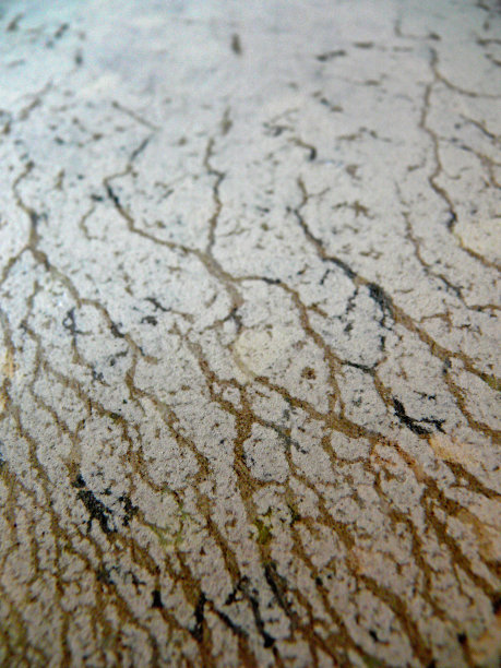 布纹面图片下载