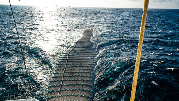 拖网工业渔网图片下载