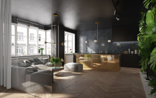 现代黑色和金色厨房在豪华内饰图片下载