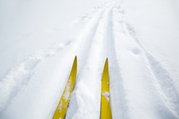 冬日里，滑雪者在新鲜洁白的雪地上滑雪。经典的越野滑雪。积极的生活方式。享受运动。视角拍摄。图片下载
