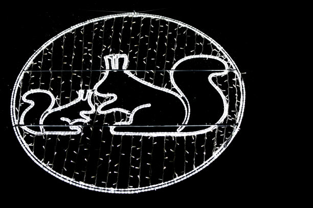两个由白色led灯做成的松鼠雕像图片下载