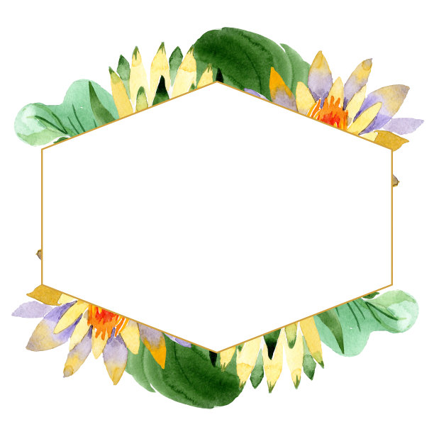 黄色的荷花。花卉植物的花。水彩背景插图集。边框装饰方形。图片下载