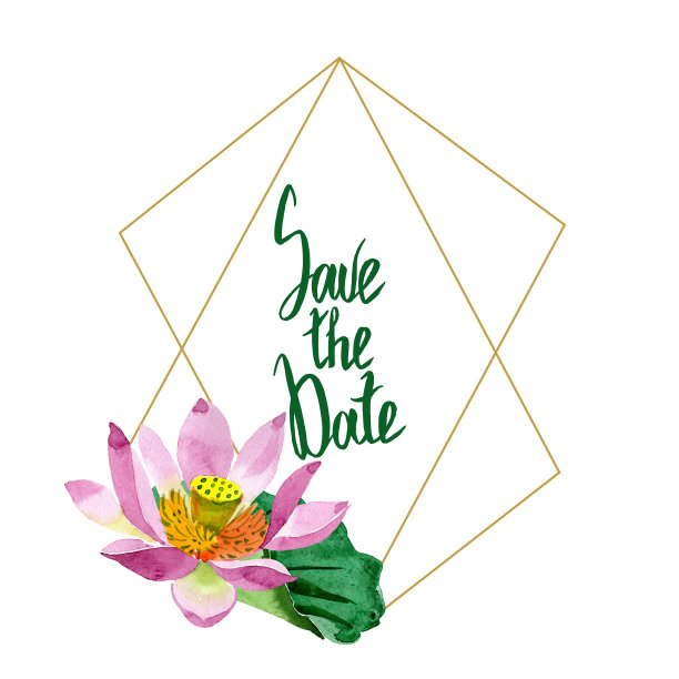 紫色的莲花。花卉植物的花。边框装饰方形。图片下载