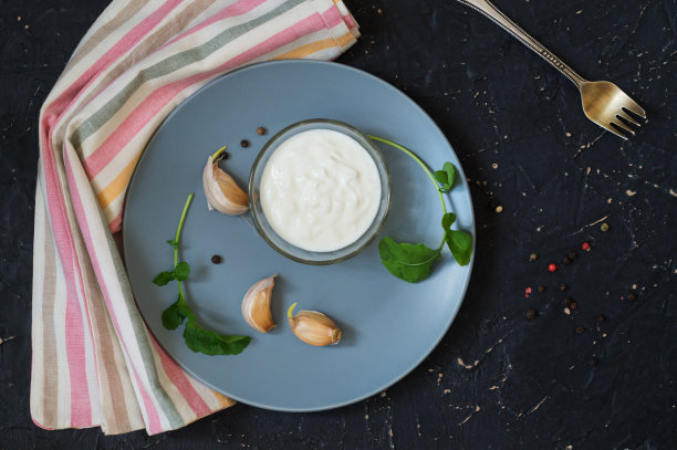 蓝色盘子里放酸奶油酱、大蒜和香料图片下载